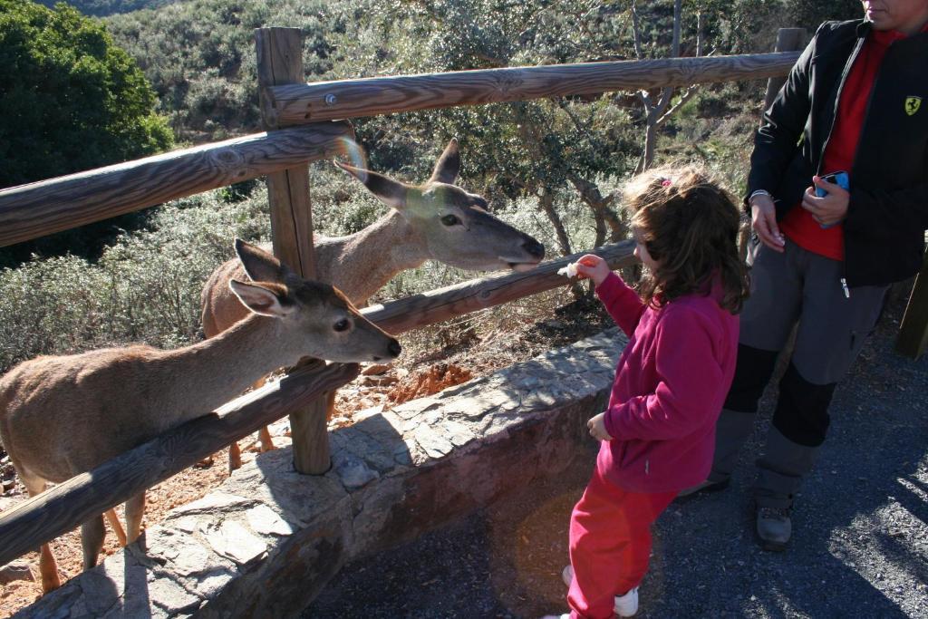 Complejo Turistico Las Canadas Casas De Campo- Actividades Gratuitas Todos Los Fines De Semana Banos De Montemayor Exteriör bild